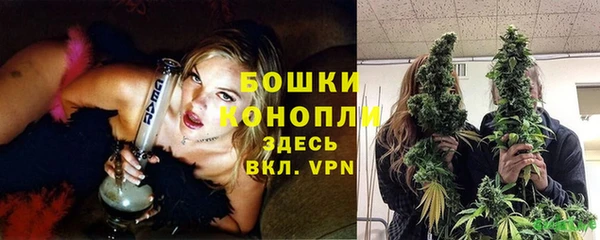 прущие грибы Зеленокумск