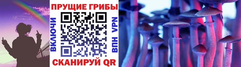 Купить закладки  Советск  Псилоцибиновые грибы Cubensis 